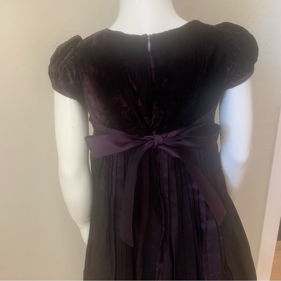 BISCOTTI Collezioni Velvet and Taffeta Special Occasion Fancy Dress Size 4T - Picture 10 of 16